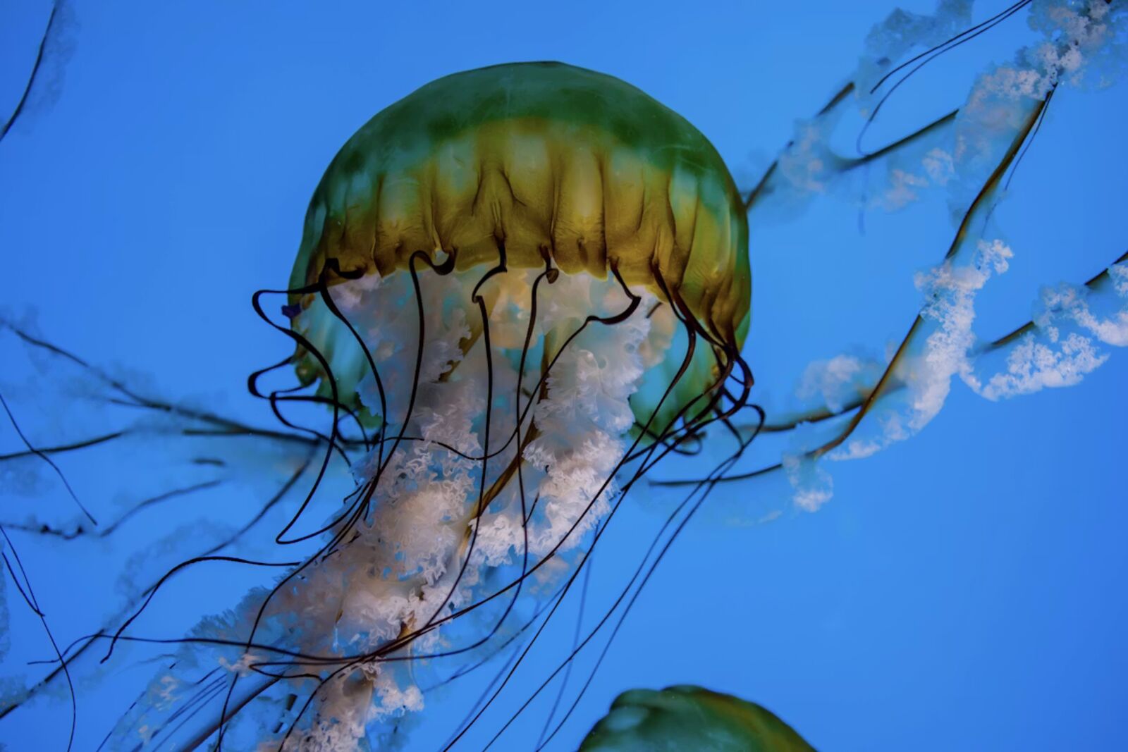 National Aquarium Baltimore