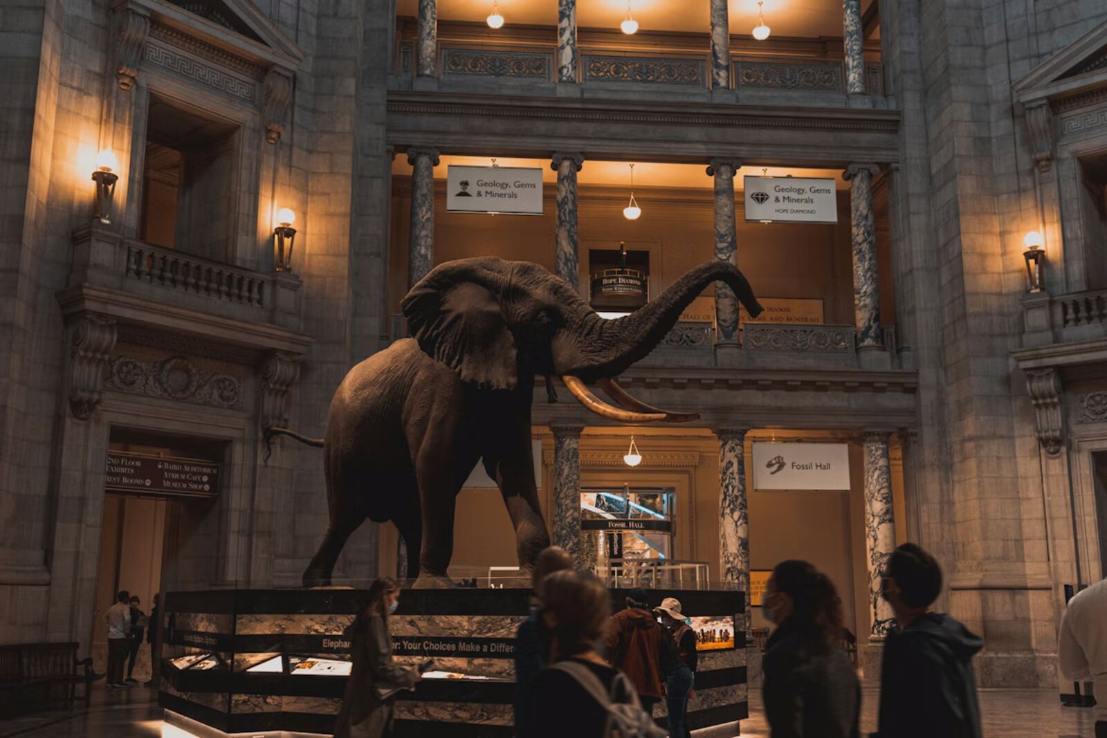 National Museum of Natural History