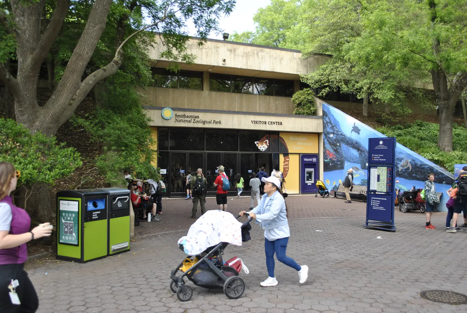Morning at the National Zoo on a screen-free day