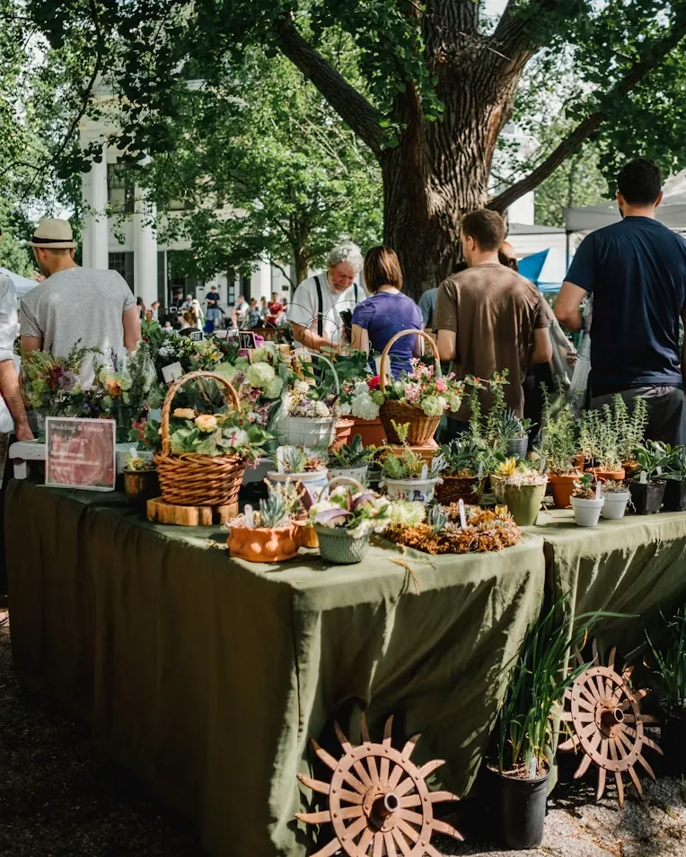 Shoppers at a market table full of plants and fall produce under the trees