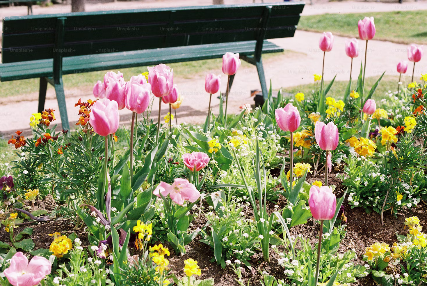 Spring at Metropolitan Park