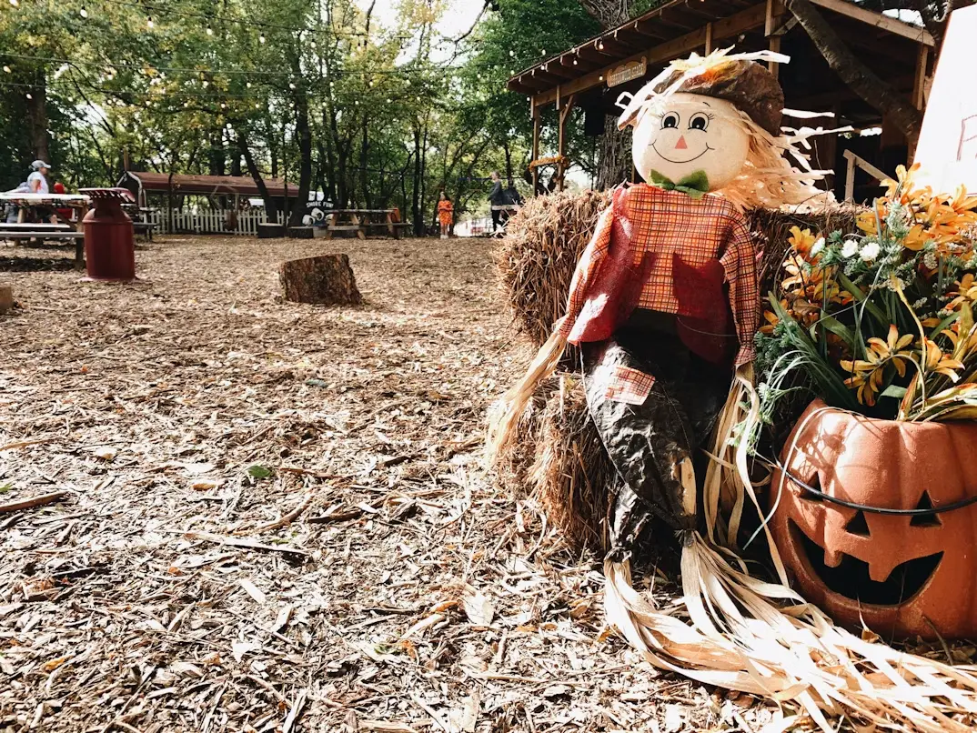 A scarecrow and a carved jack-o'-lantern set up on wood chips at a fall festival