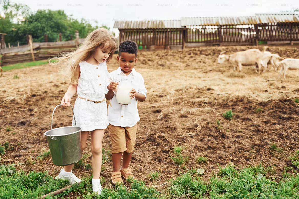 Two young kids carrying a metal bucket across a farmyard with sheep behind them