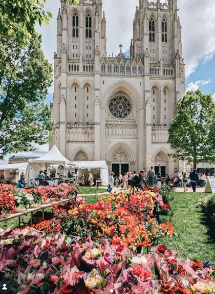 Flower Mart at Washington National Cathedral