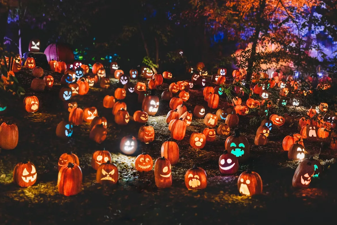 Dozens of glowing carved jack-o'-lanterns spread across the ground at night