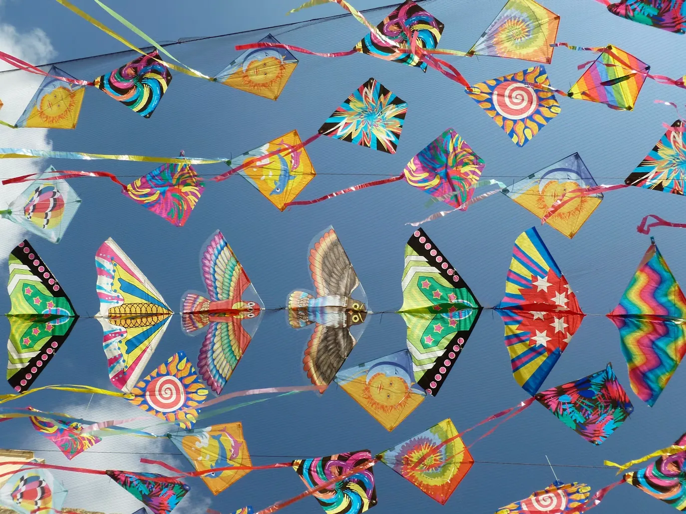 Colorful kites flying over Ida Lee Park at the Leesburg Festival of Kites