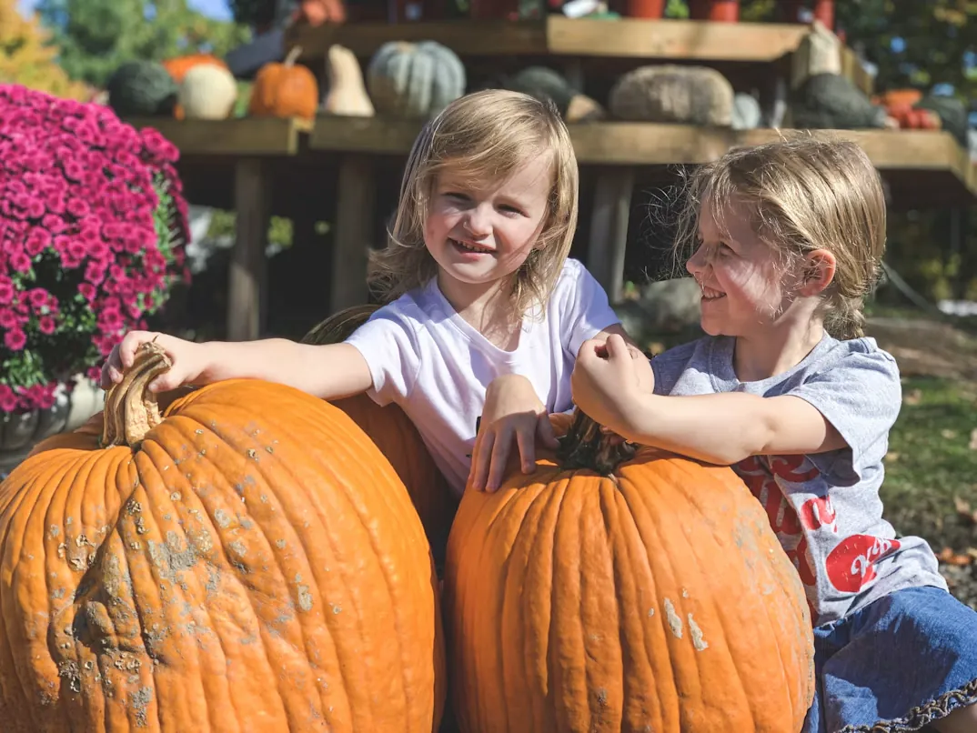 Two little girls laughing as they lean on big orange pumpkins at a farm stand with pink mums