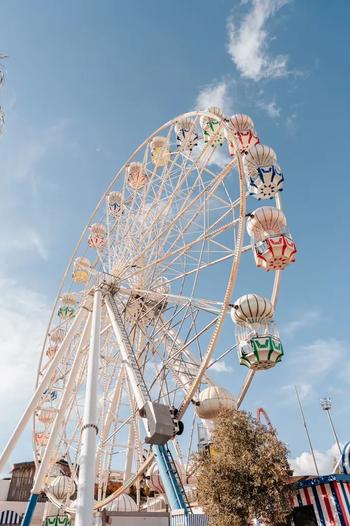 Livestock and rides at the Montgomery County Agricultural Fair