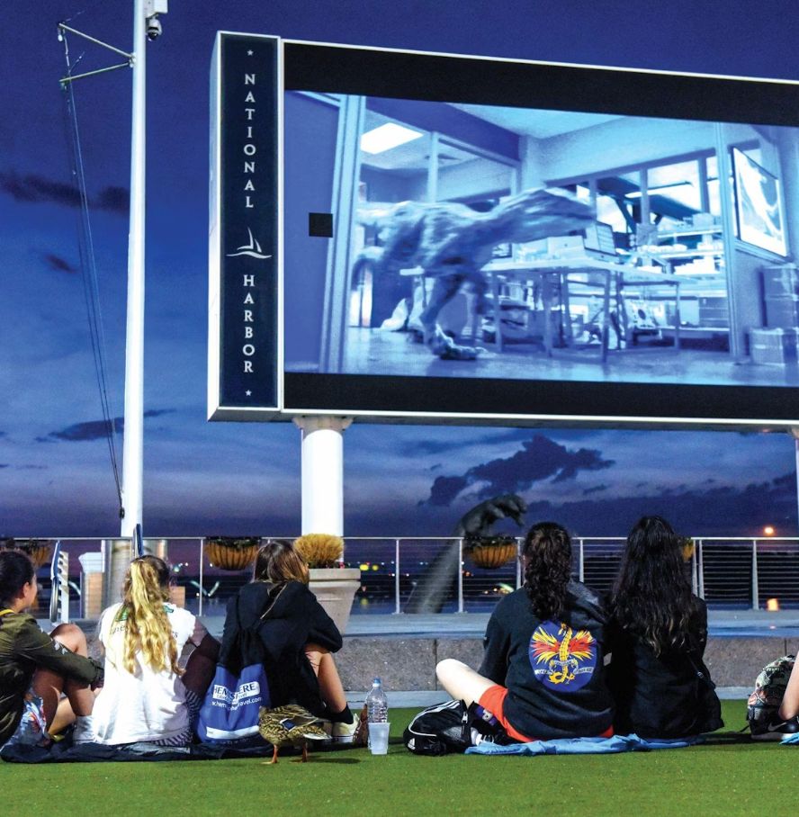 Movies on the Potomac