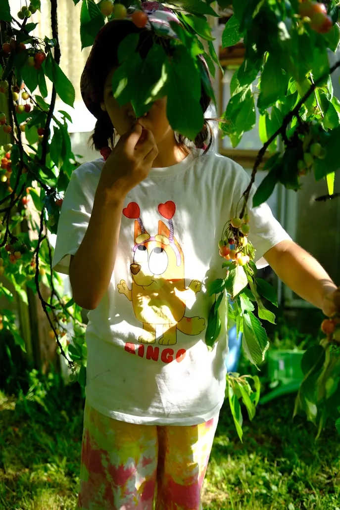 Kids picking peaches at a farm near DC