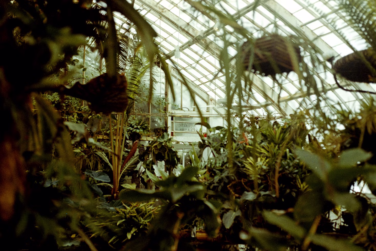 US Botanic Garden Children's Garden