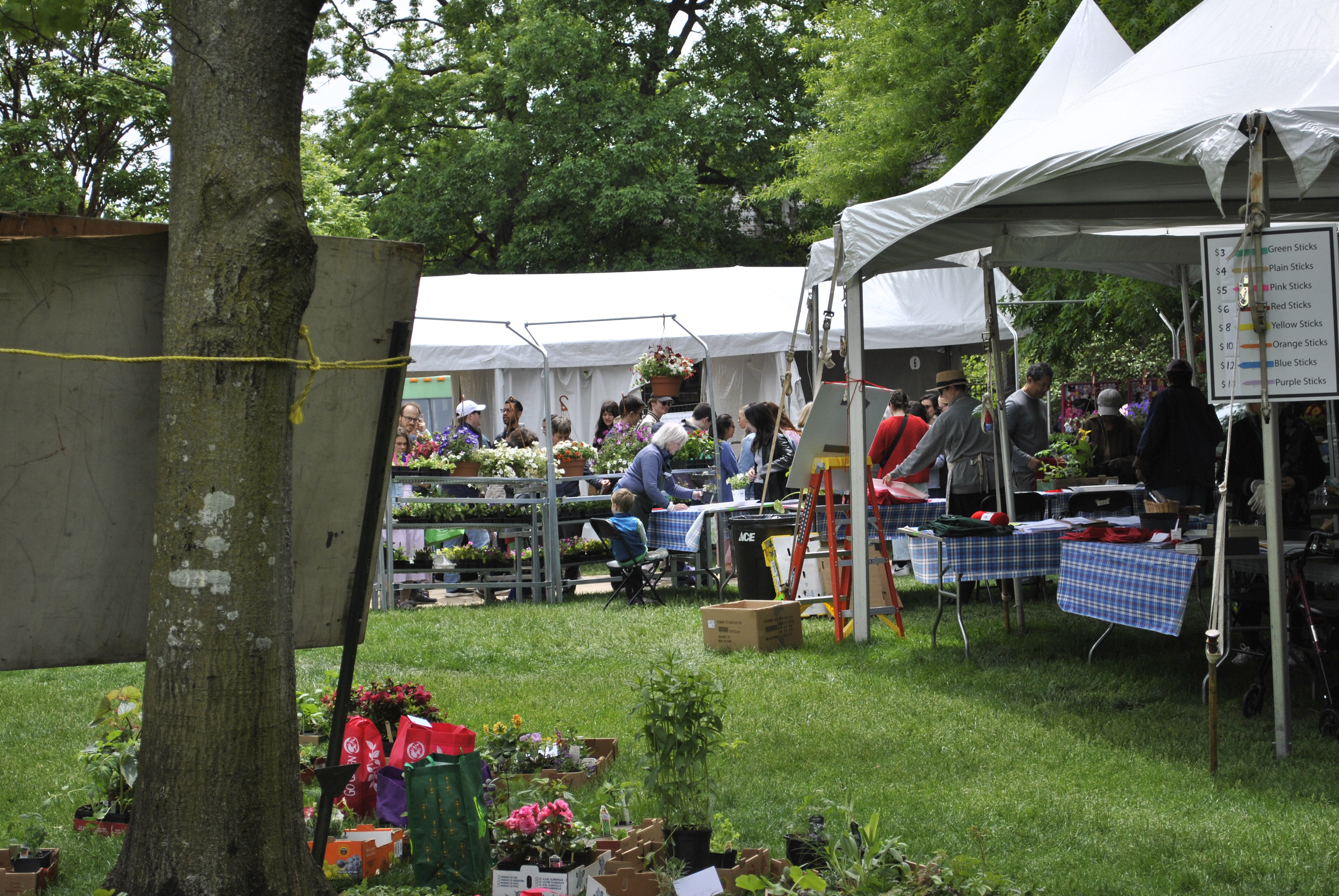 Flower Mart at Washington National Cathedral