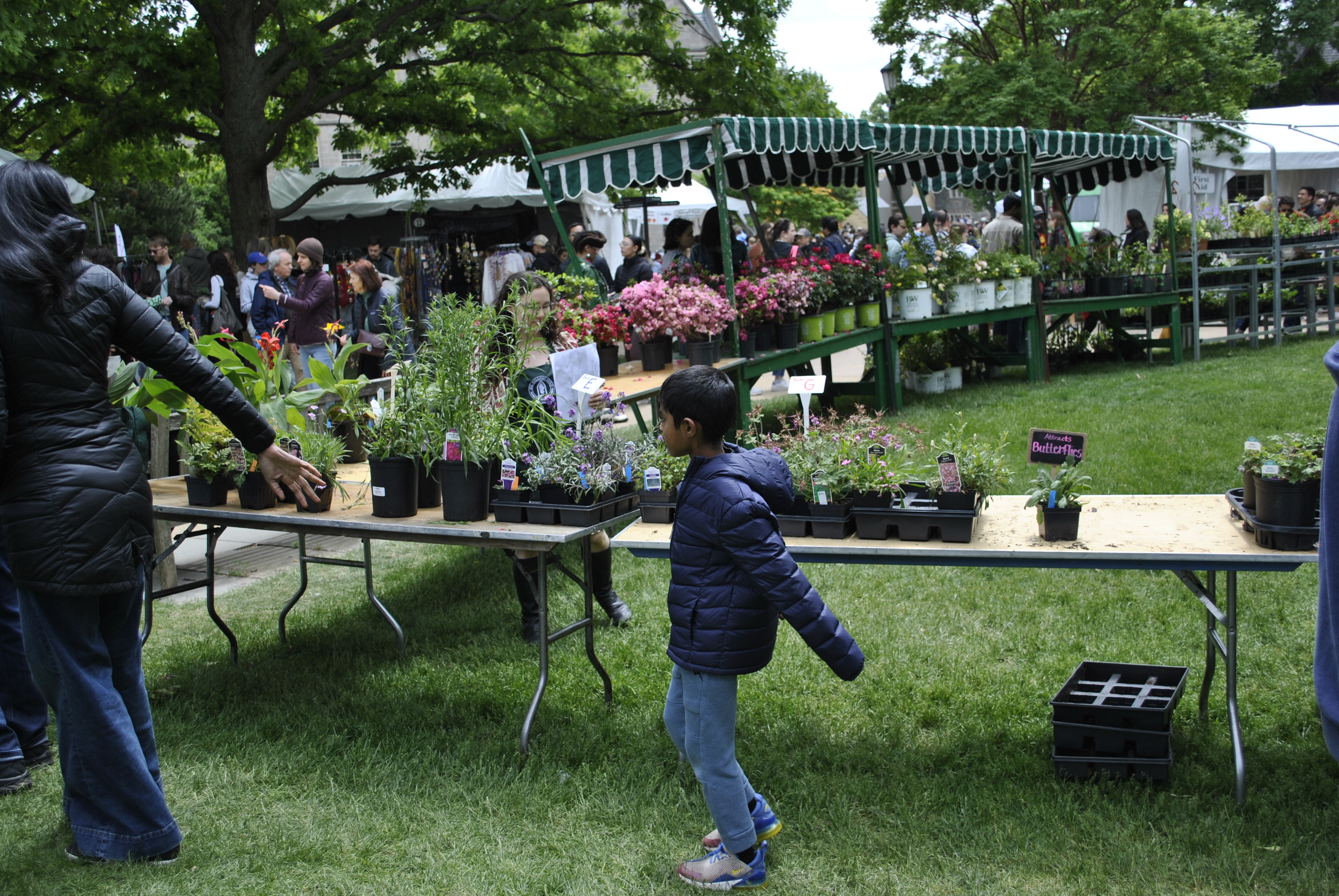 Flower Mart at Washington National Cathedral