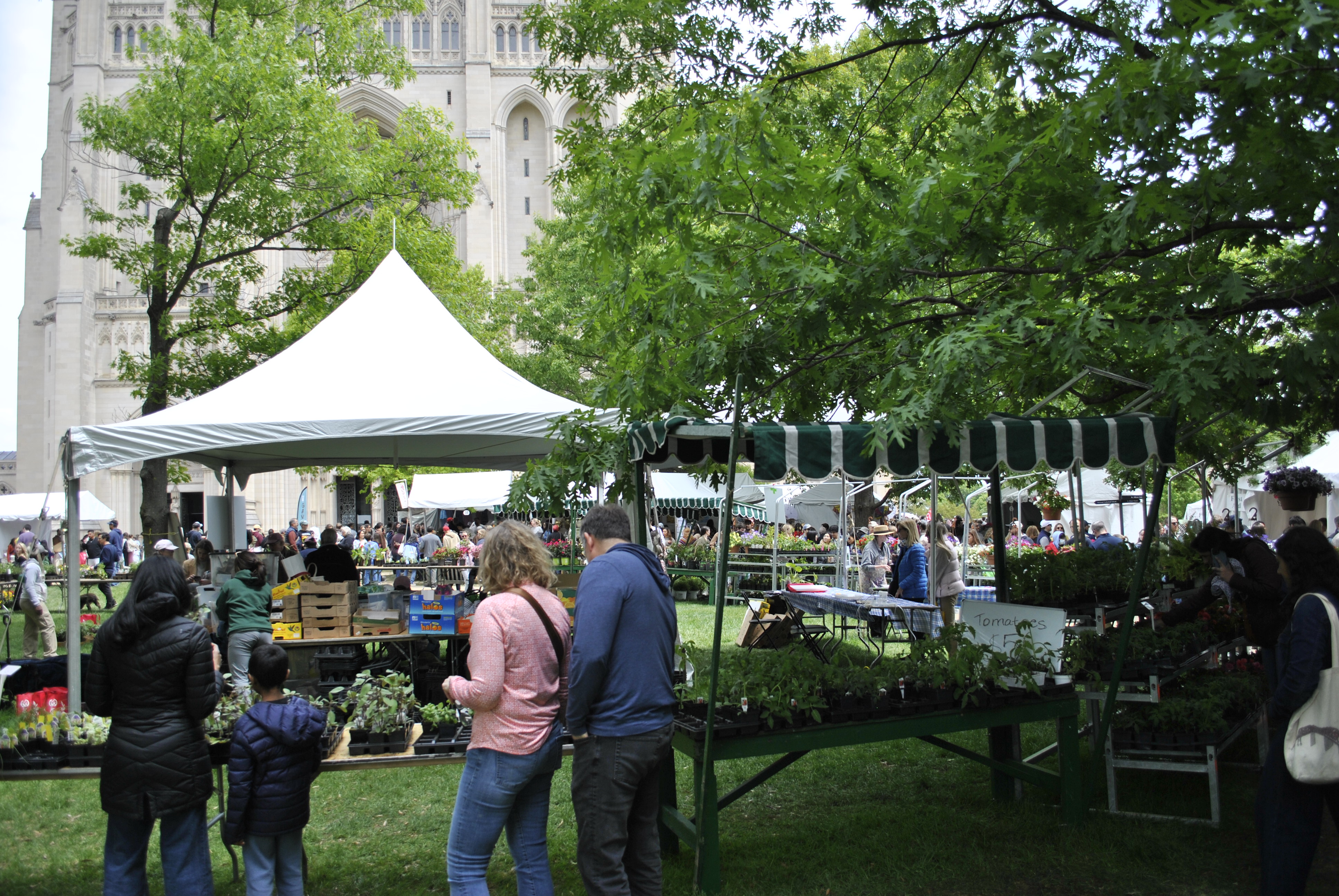 Flower Mart at Washington National Cathedral