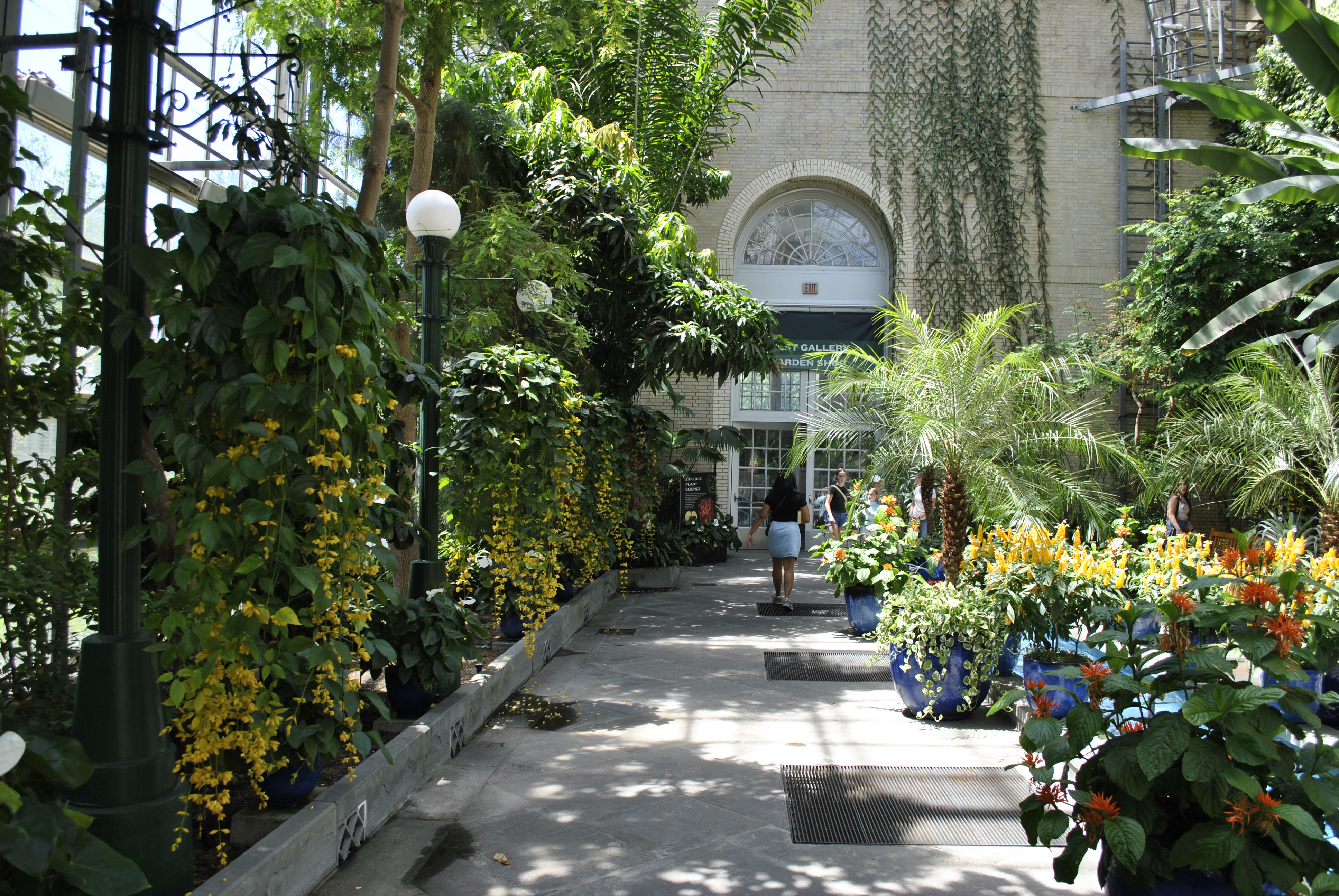 US Botanic Garden Children's Garden
