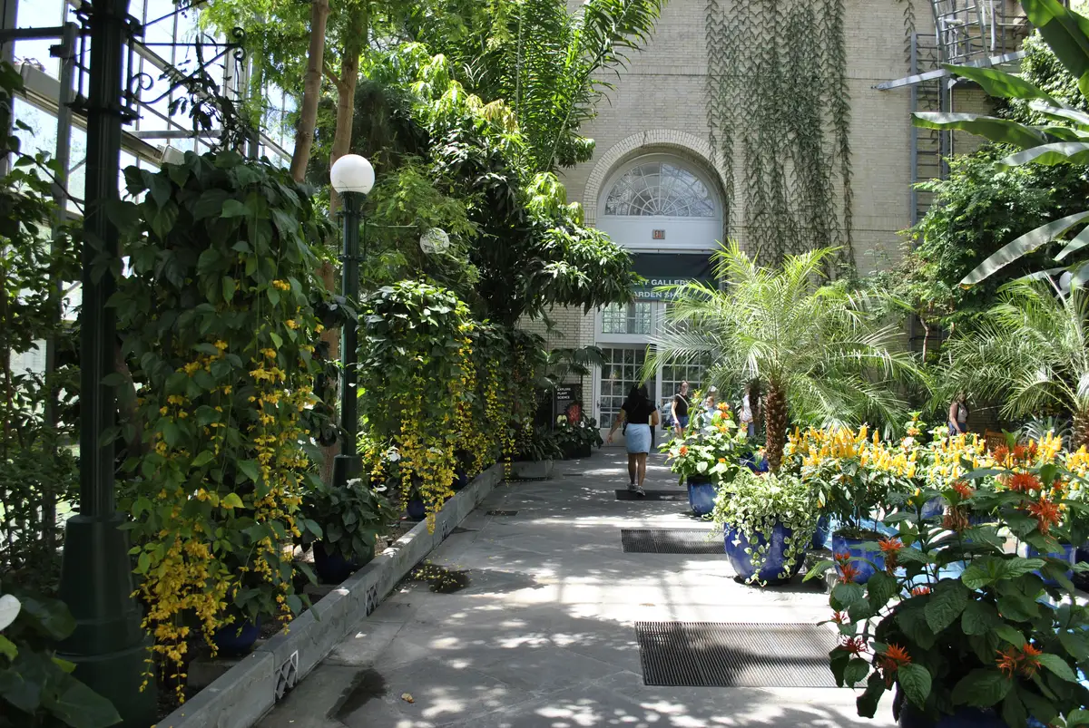 US Botanic Garden Children's Garden