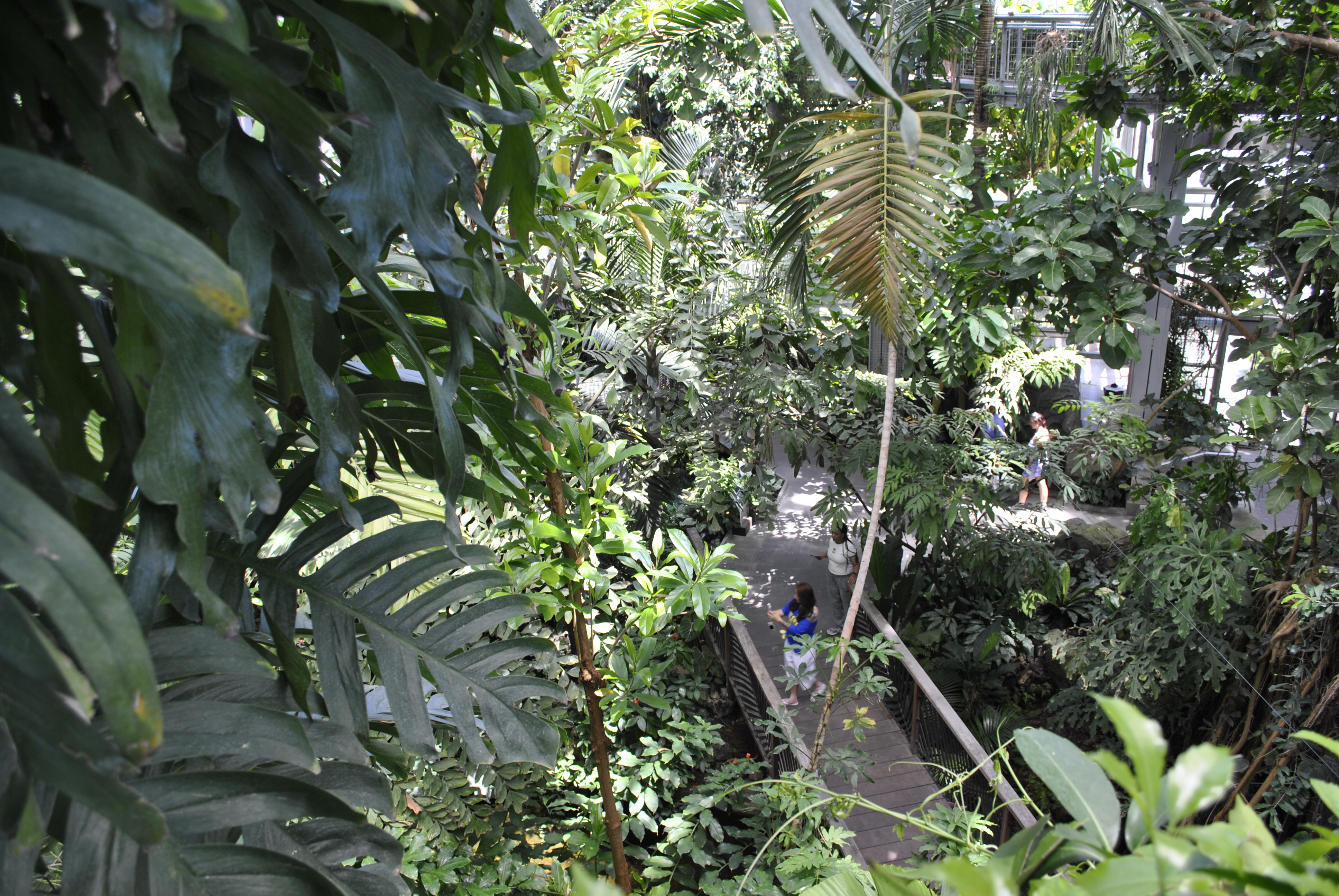 US Botanic Garden Children's Garden