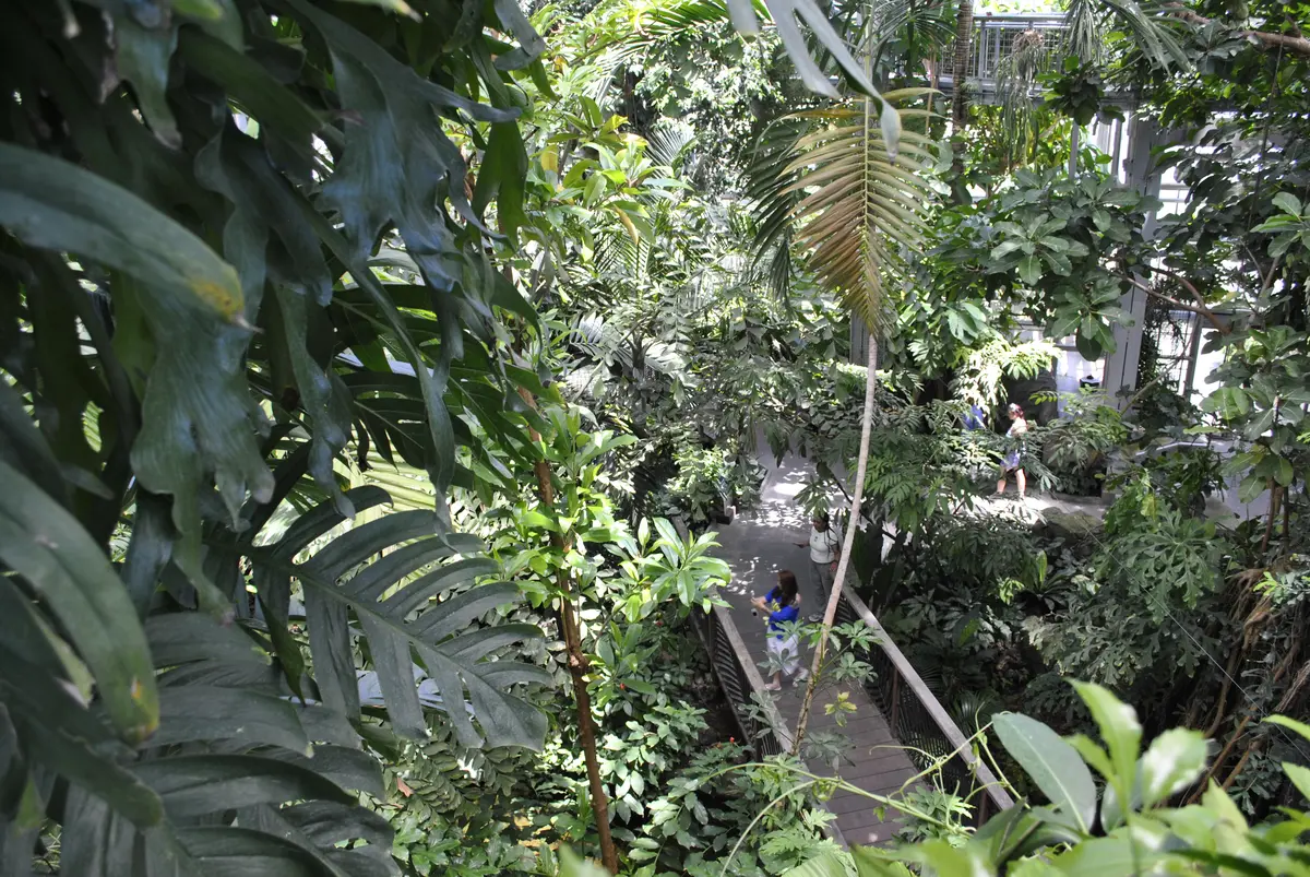 US Botanic Garden Children's Garden