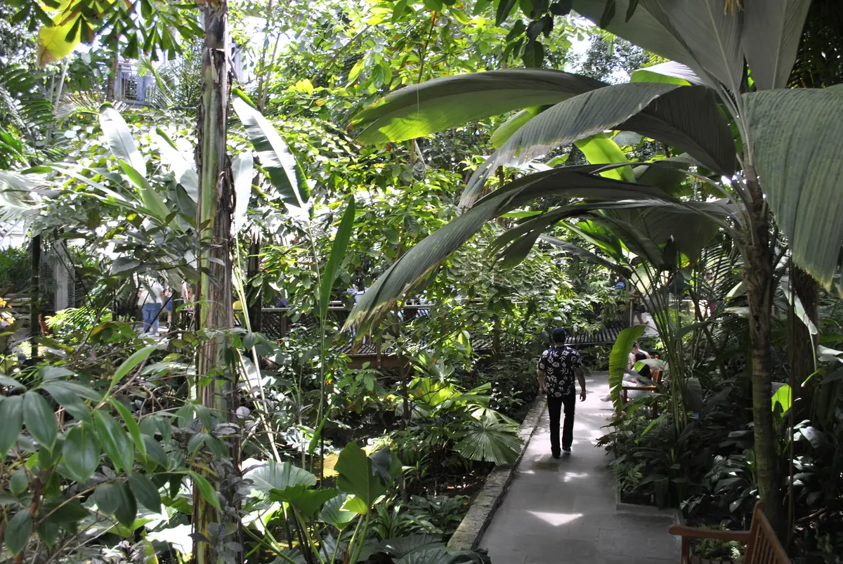 US Botanic Garden Children's Garden