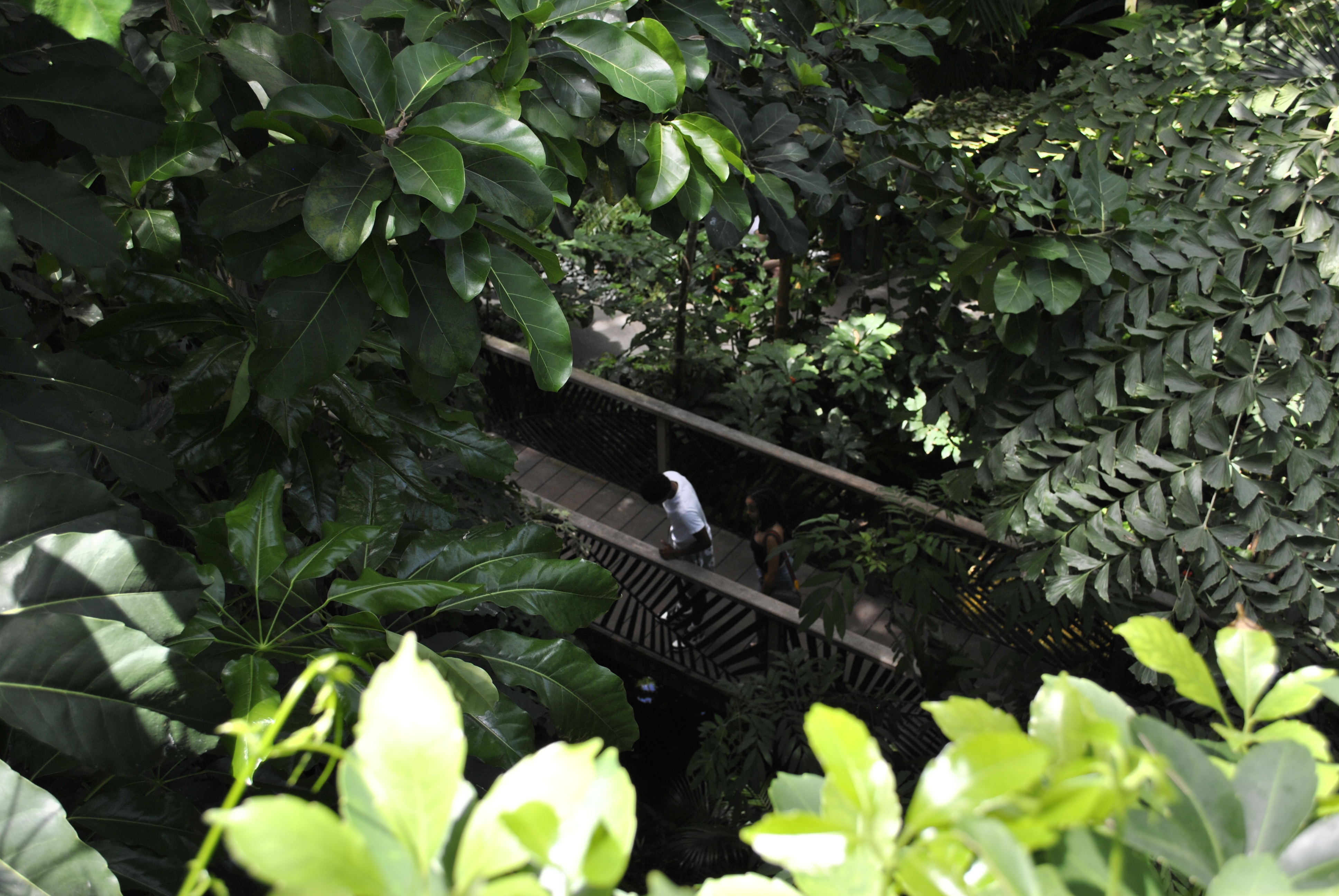 US Botanic Garden Children's Garden