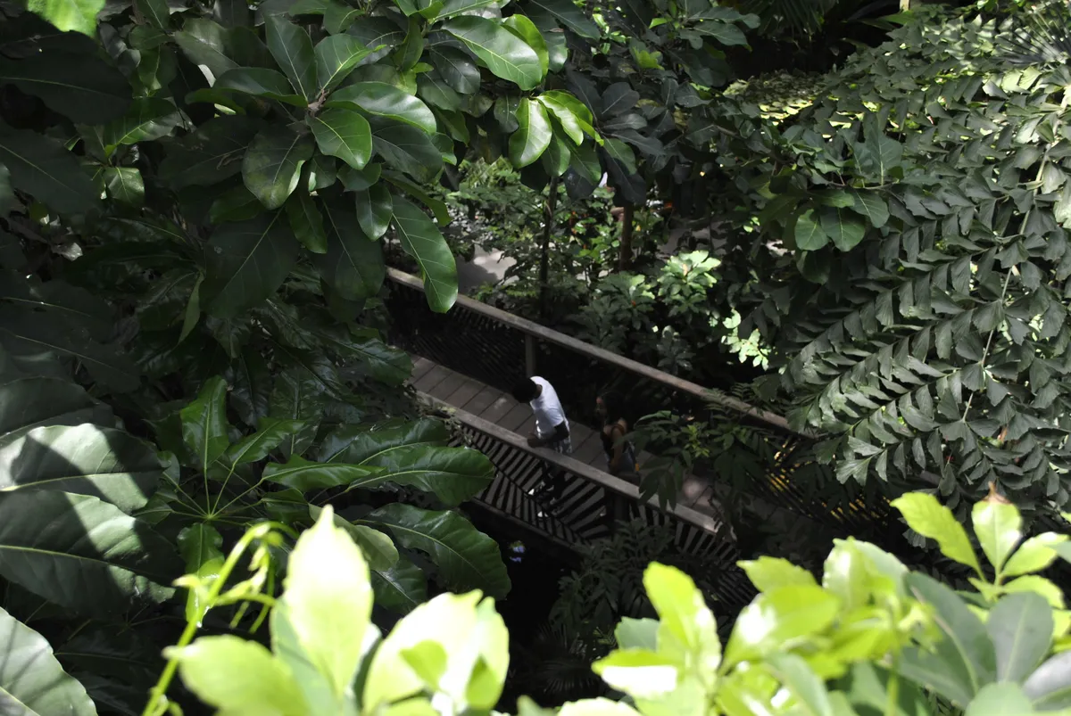 US Botanic Garden Children's Garden