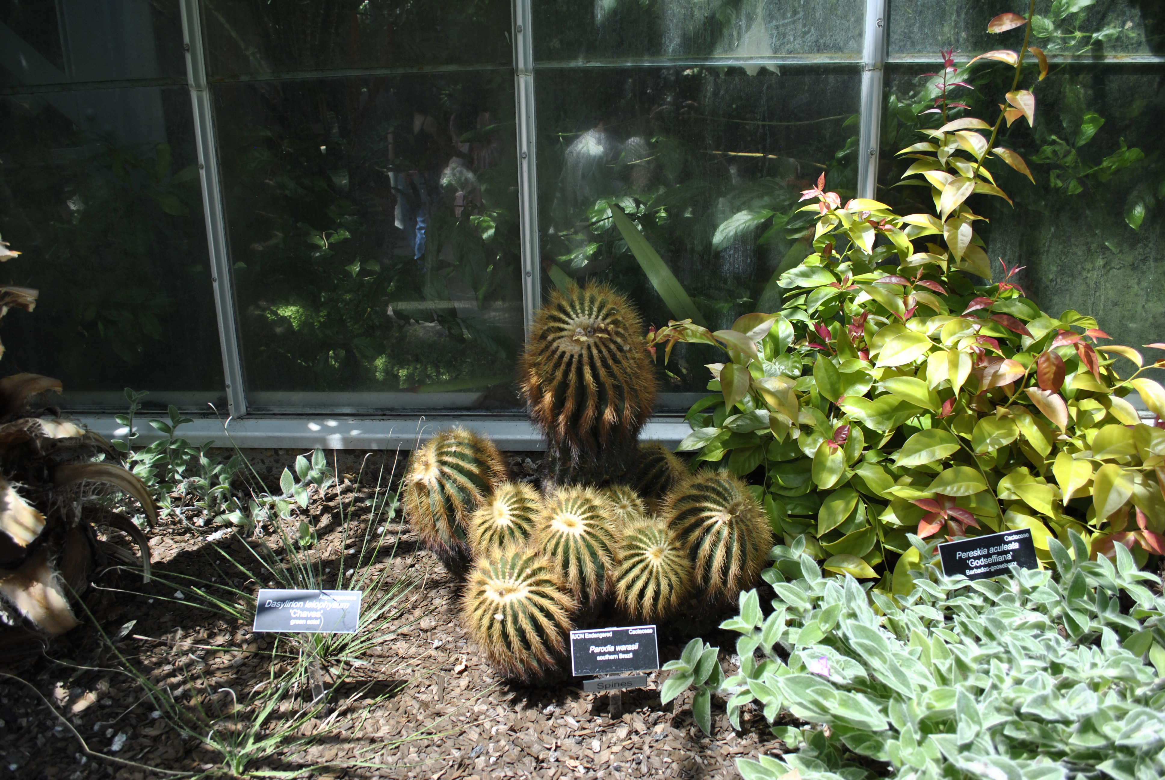 US Botanic Garden Children's Garden