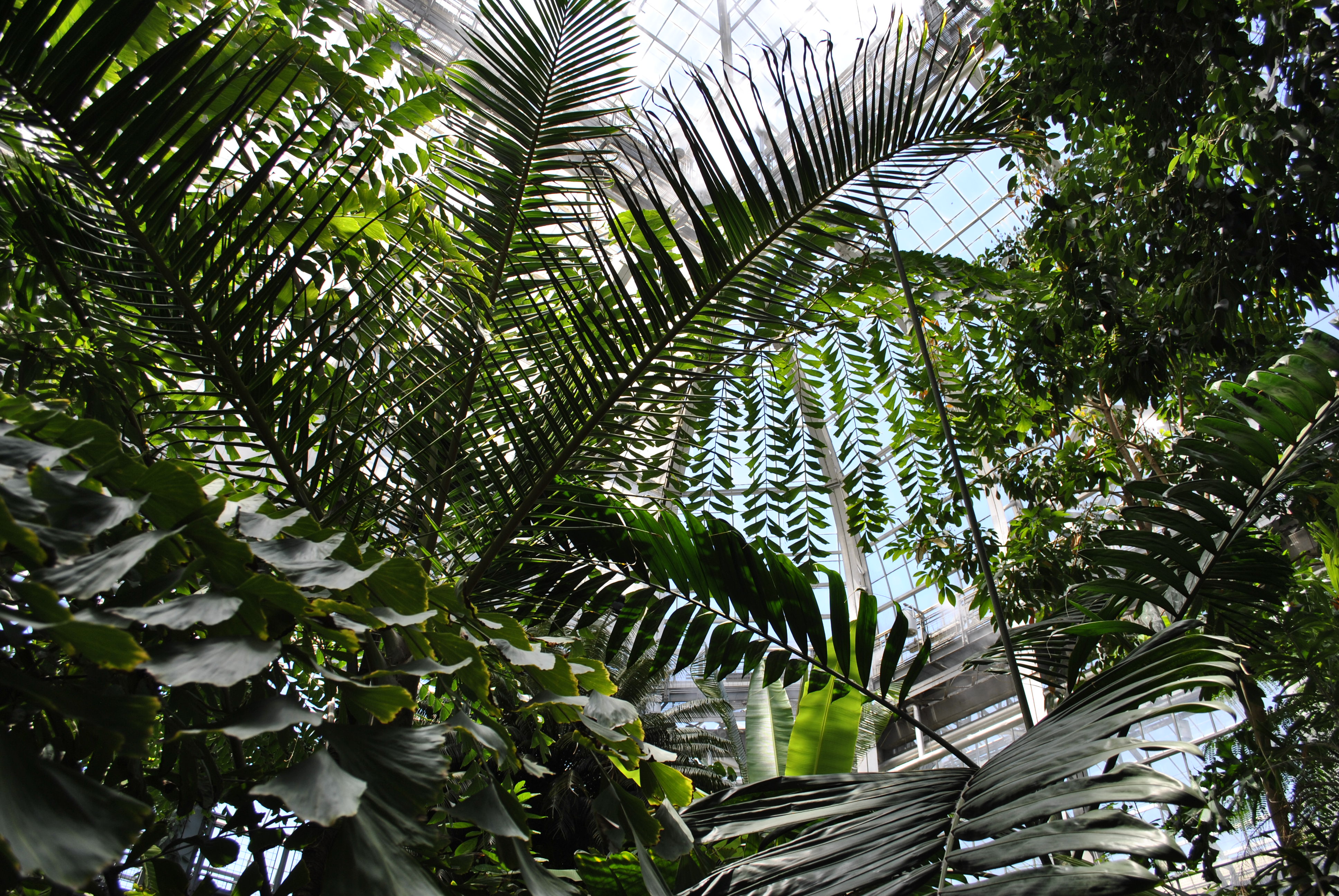 US Botanic Garden Children's Garden