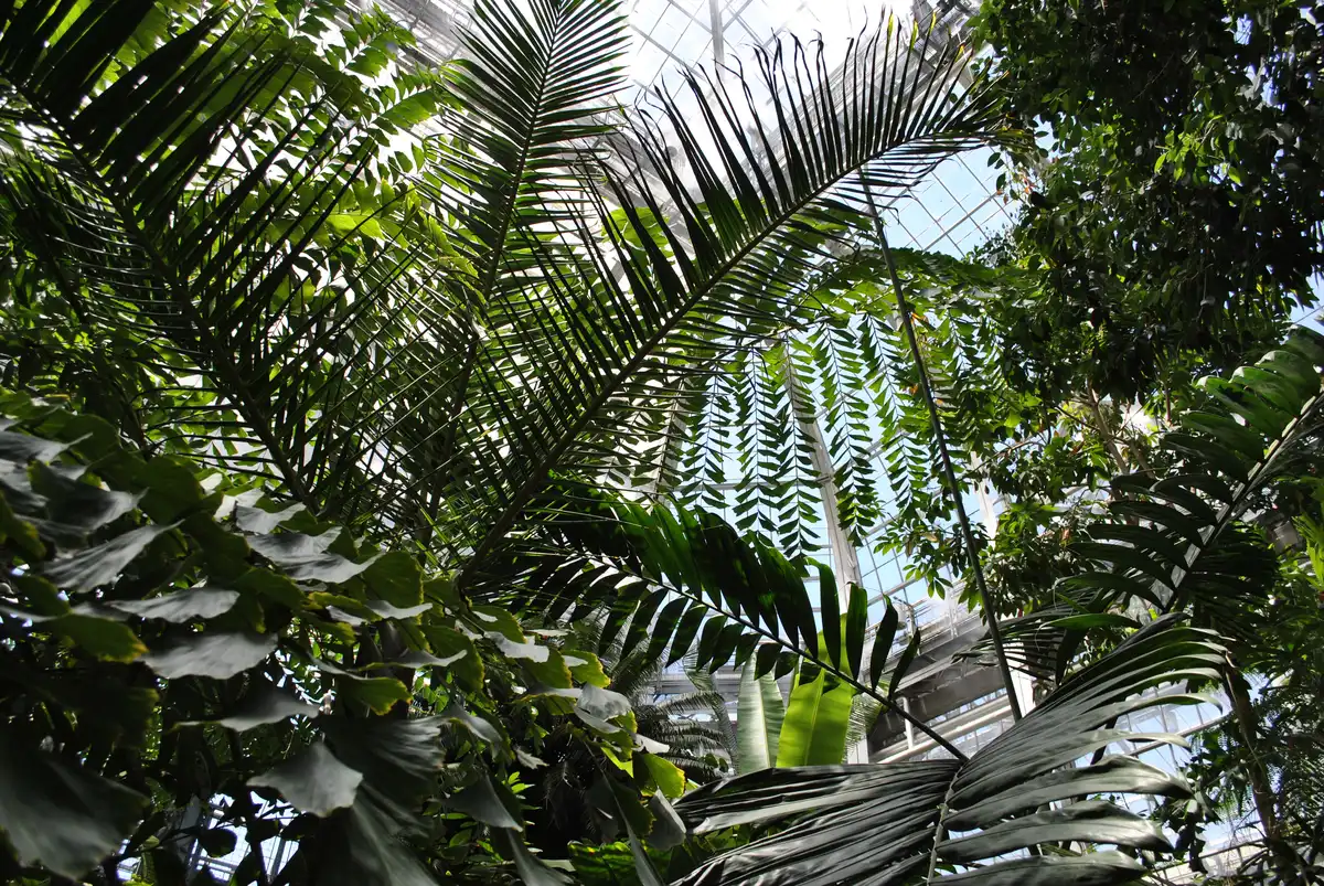 US Botanic Garden Children's Garden