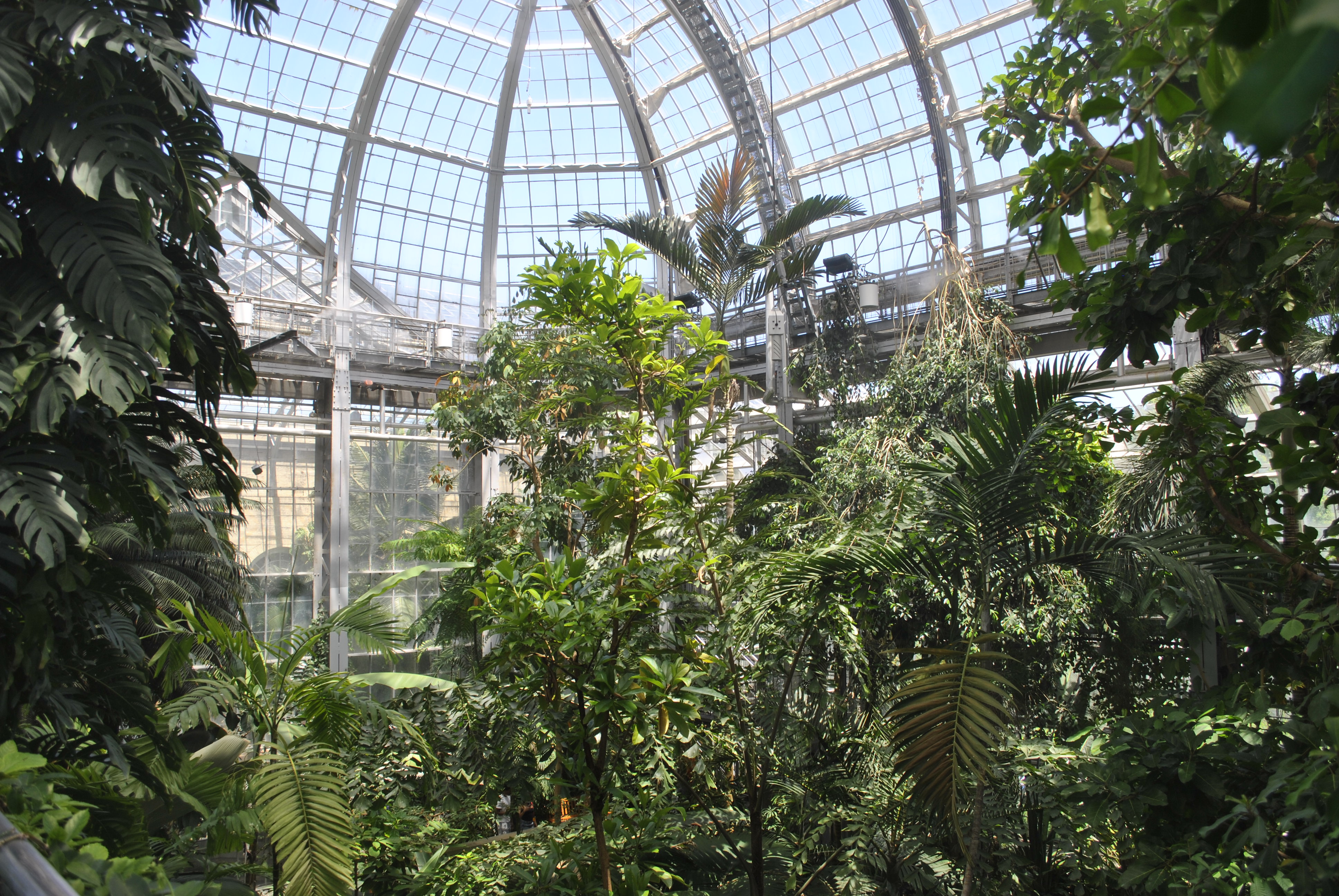US Botanic Garden Children's Garden