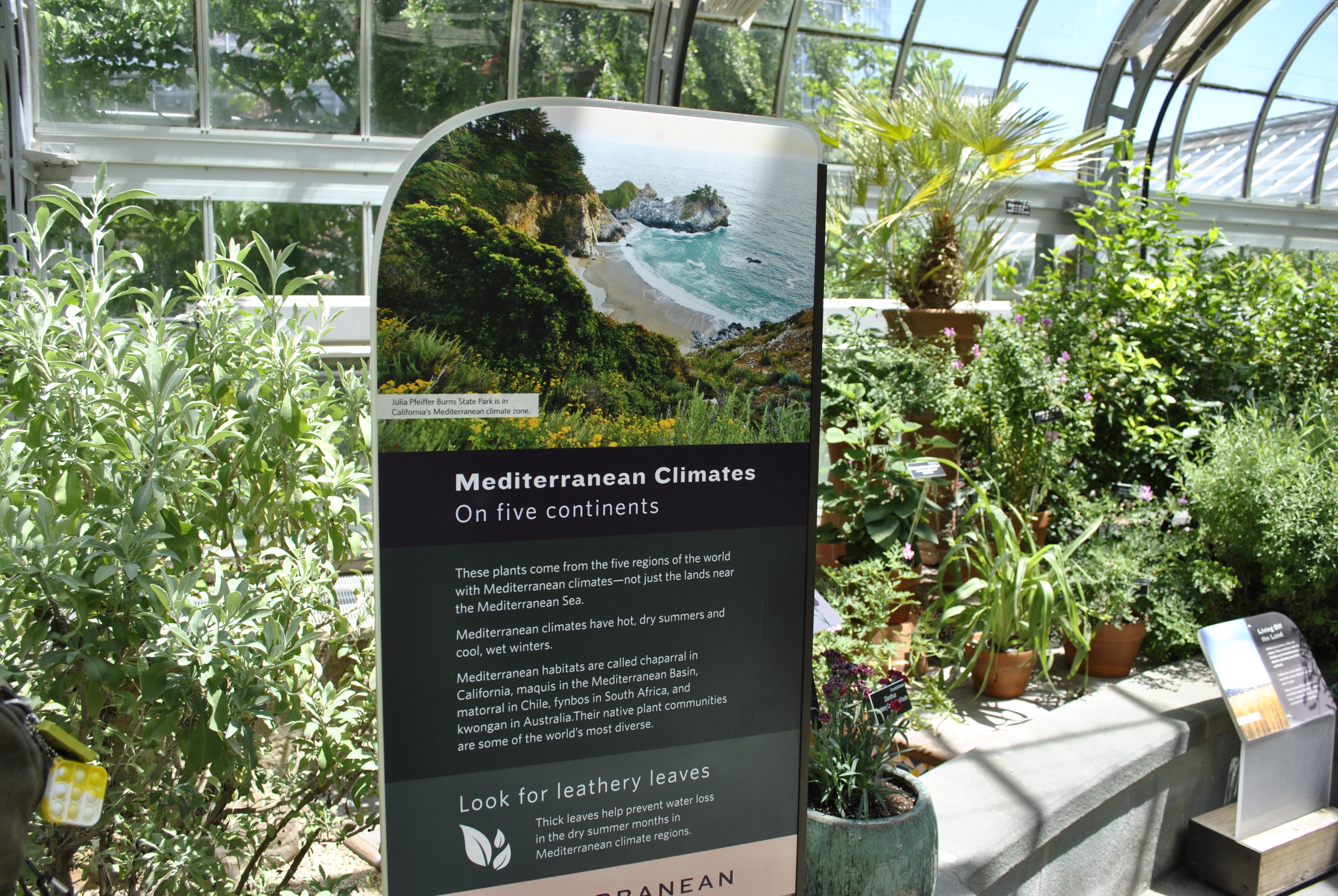 US Botanic Garden Children's Garden