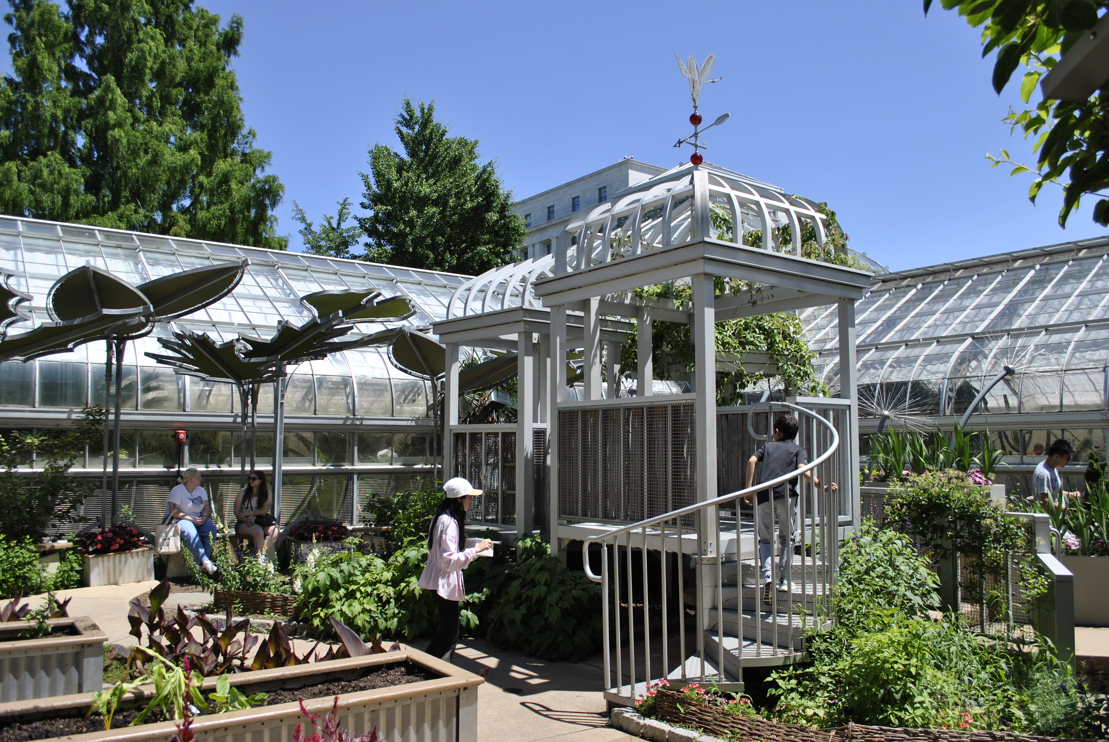 US Botanic Garden Children's Garden