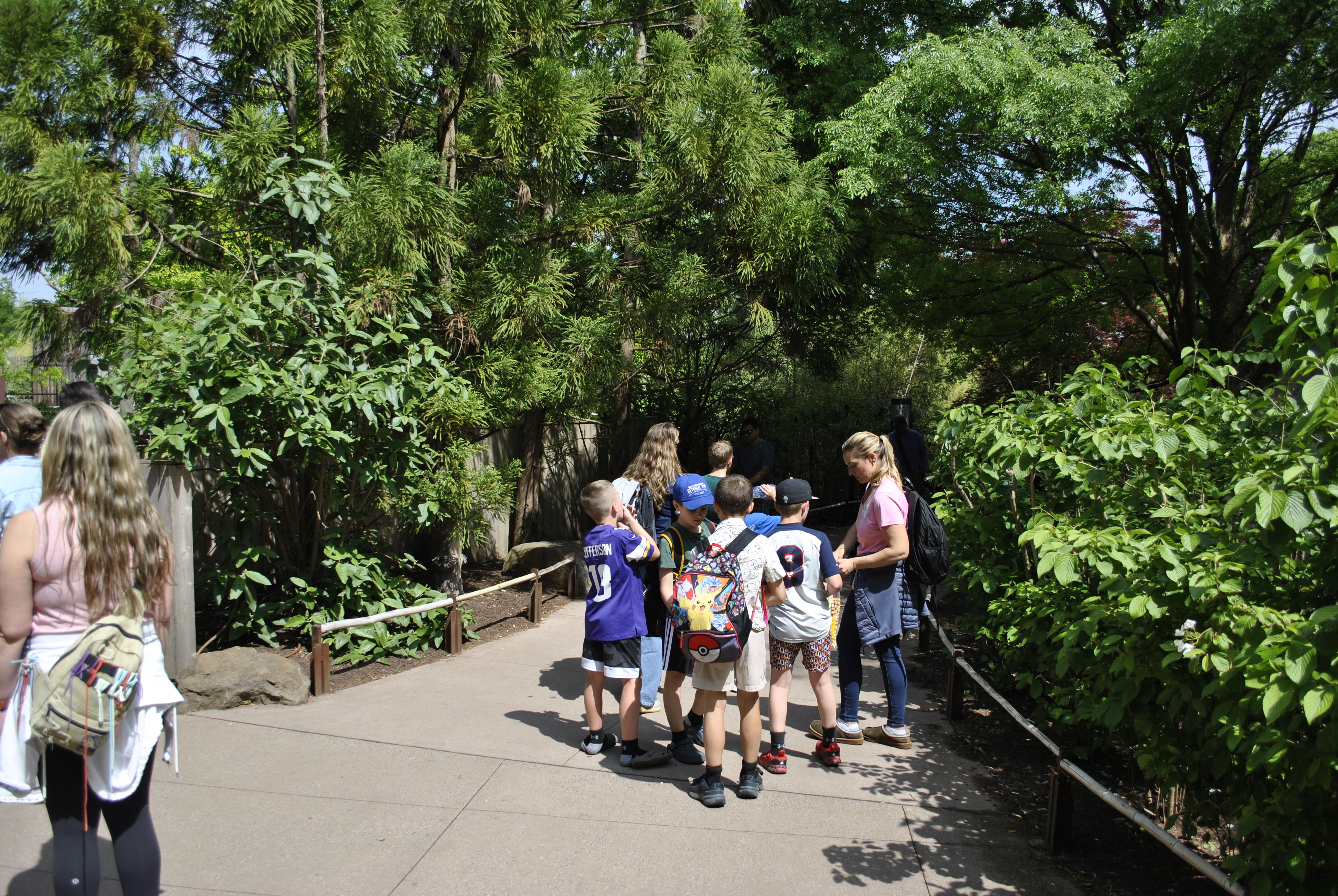 Families walking along shaded zoo path