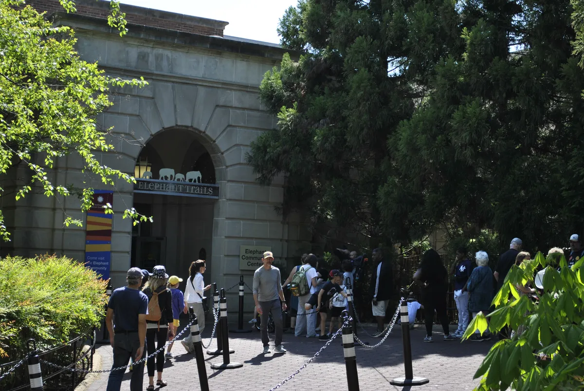 Elephant Community Center entrance with stone arch