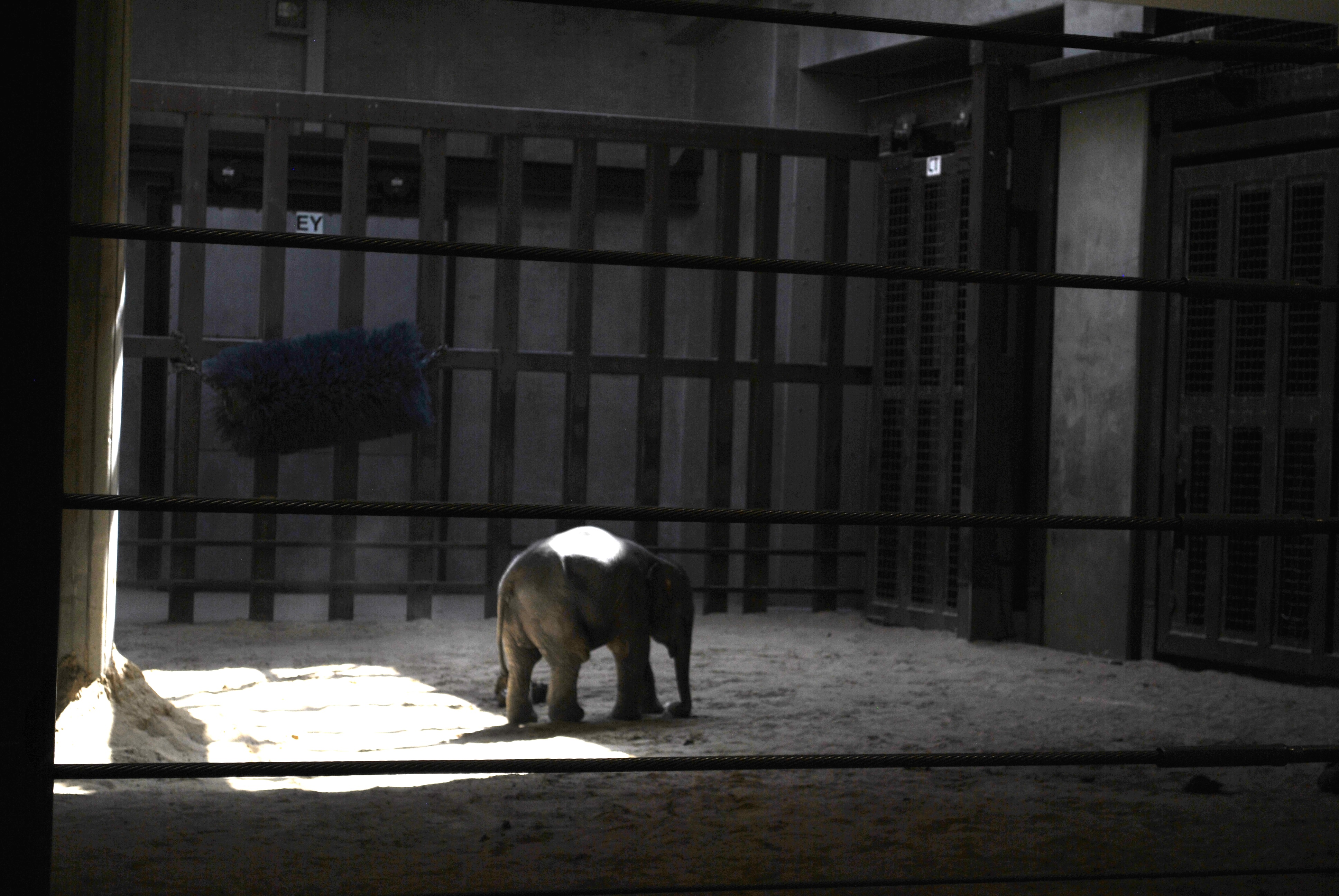 Linh Mai exploring the indoor area on her own