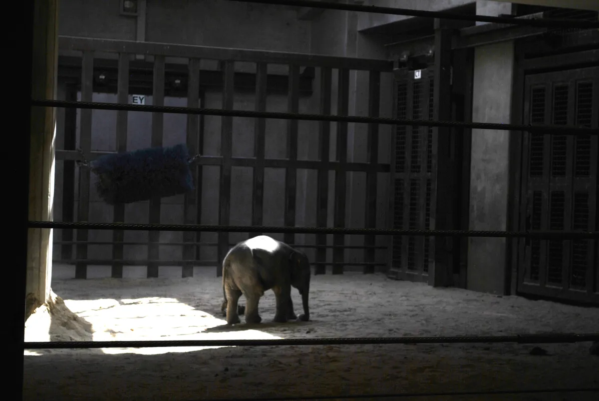 Linh Mai exploring the indoor area on her own