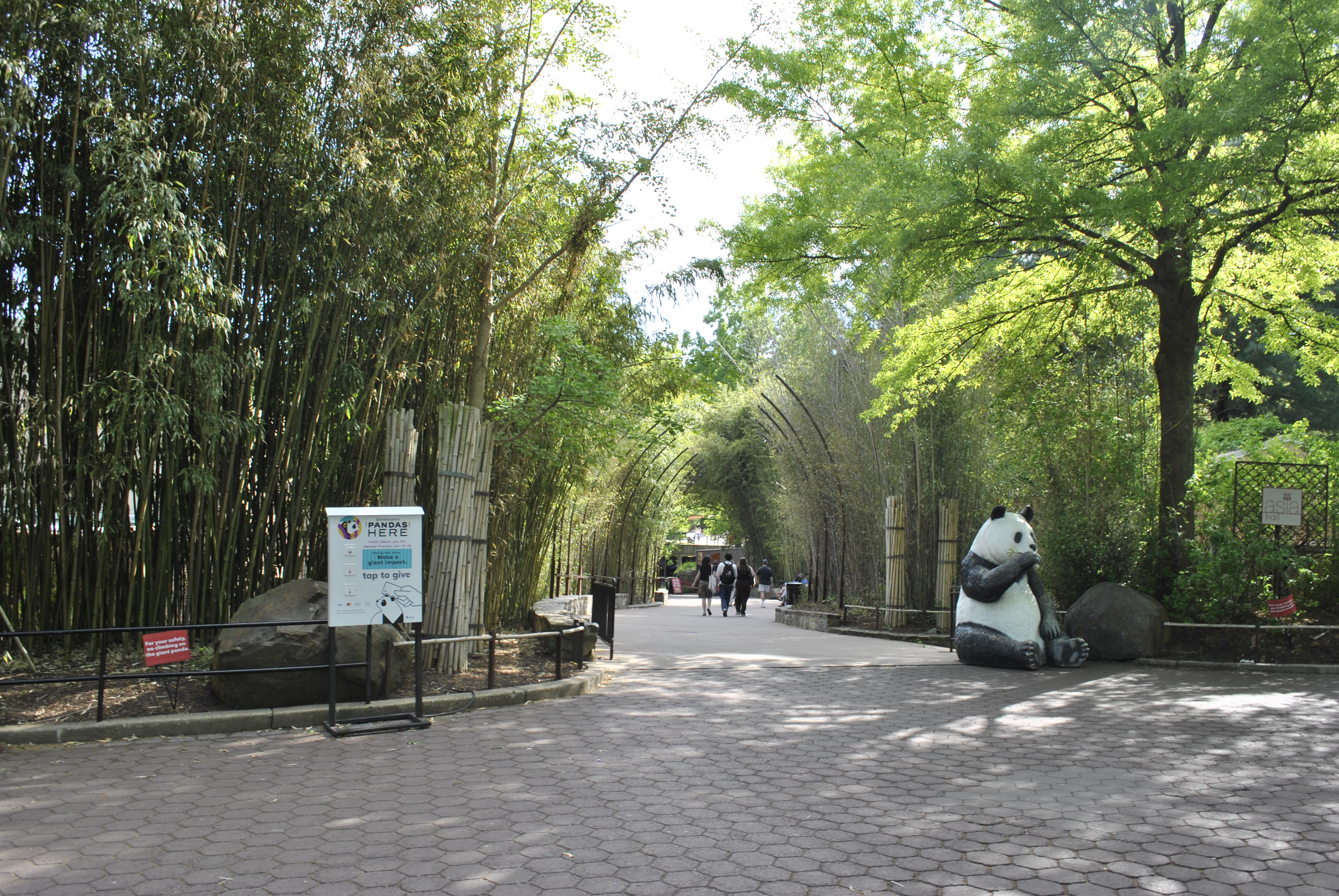 Asia Trail bamboo walkway with panda statue