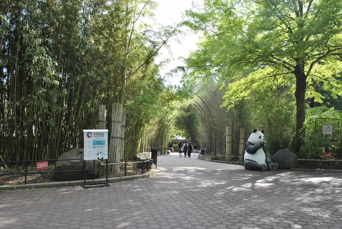 Asia Trail bamboo walkway with panda statue